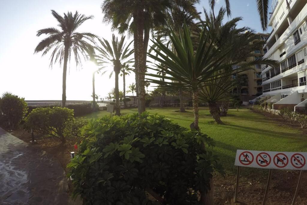 Studio Apartment La Lajilla Located At Beachfront Arguineguin 外观 照片